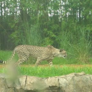 Meet your Posher, Tess